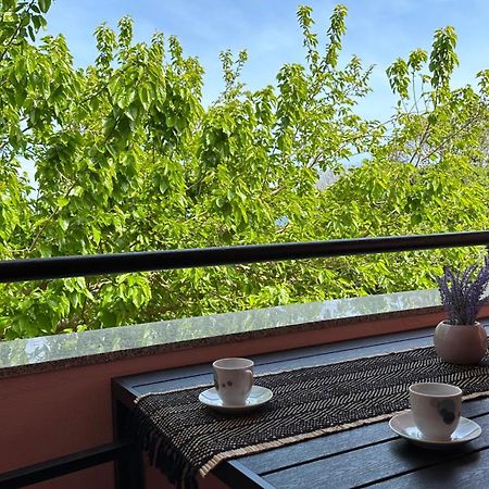 Apartment Murva Premantura Εξωτερικό φωτογραφία